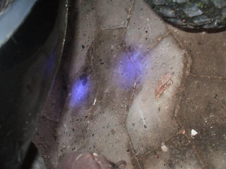 PGO rodoshow solgt billede 8