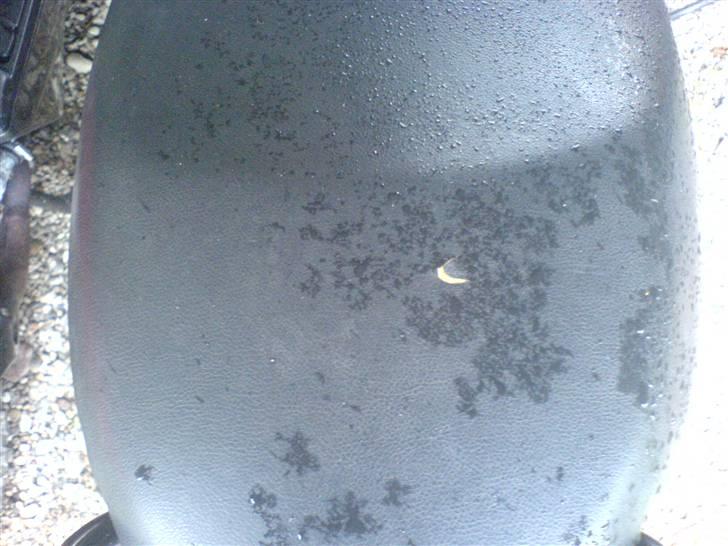 Peugeot Squab - Solgt - Lille hul i sædet, skal lige limes :-) billede 6