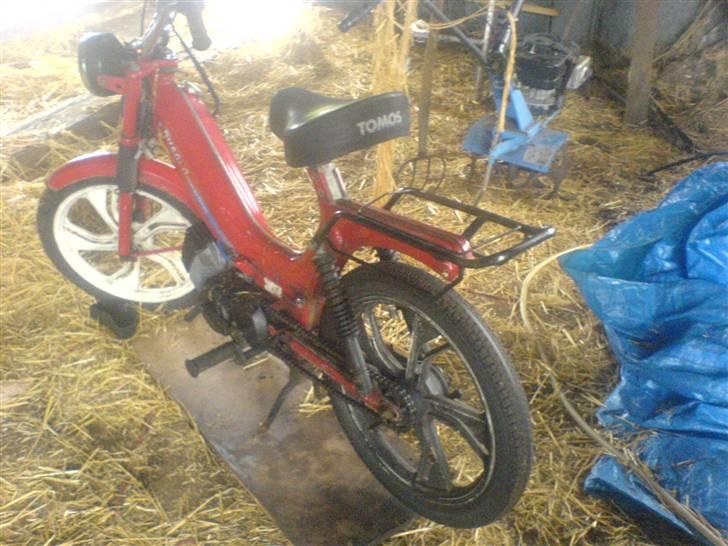 Tomos quadro tilsalg billede 3