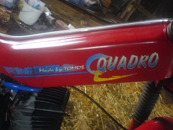 Tomos quadro tilsalg billede 5