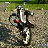 Puch maxi p1 (SOLGT)