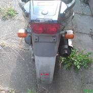 PGO T-Rex // Projekt!