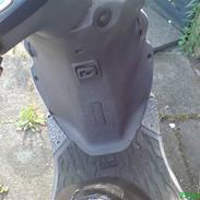 PGO T-Rex // Projekt!