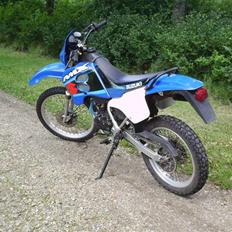 Suzuki RMX *SOLGT*