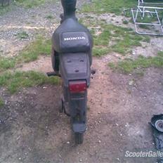 Honda wallaro ( skrottet)
