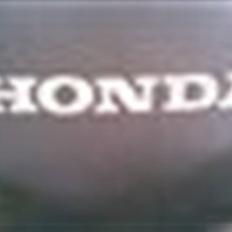 Honda wallaro ( skrottet)