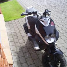 PGO PMX Naked