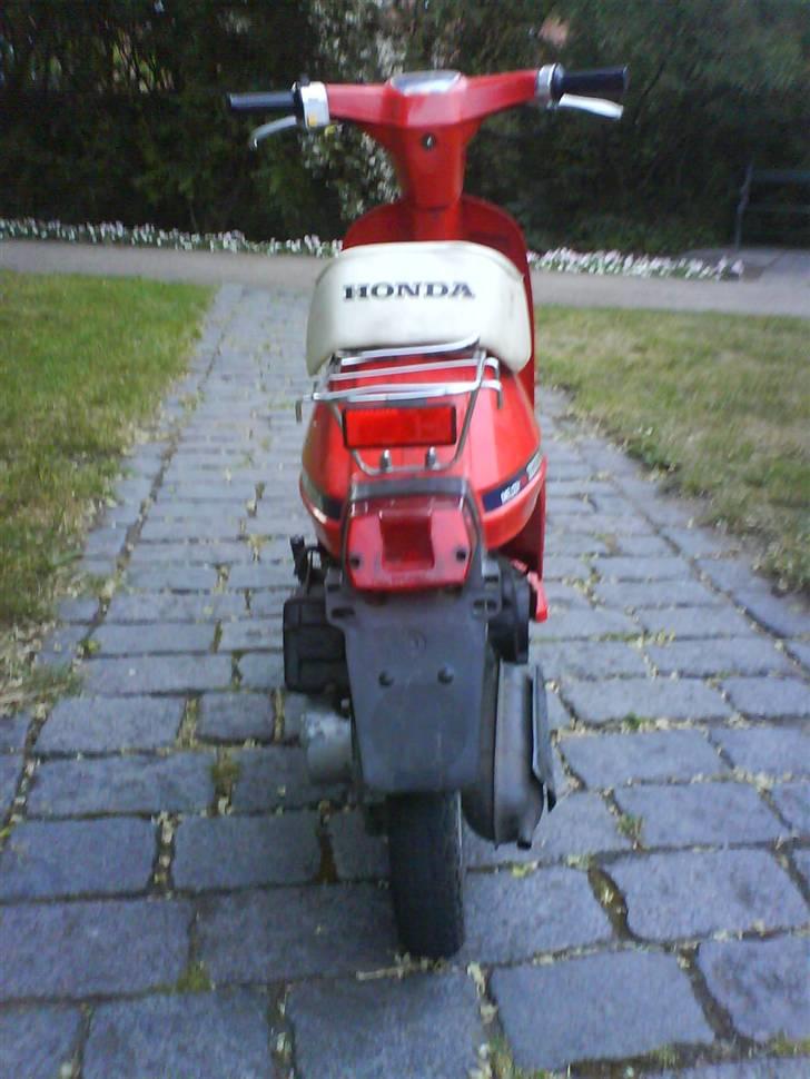 Honda Melody Mini billede 9