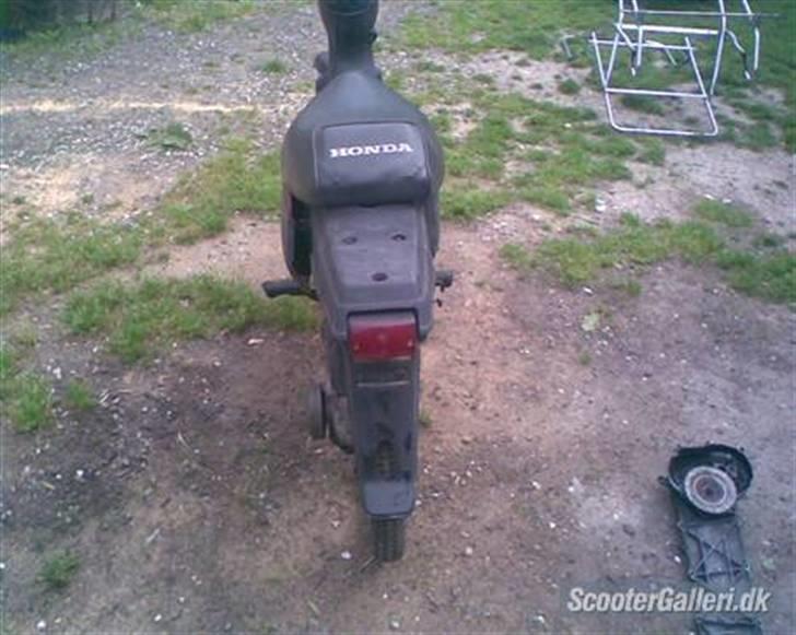 Honda wallaro ( skrottet) billede 2