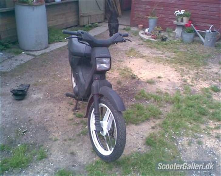 Honda wallaro ( skrottet) billede 4
