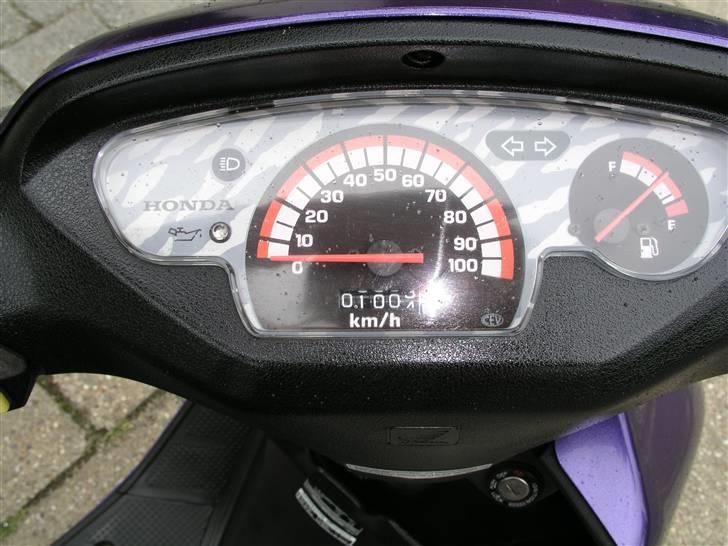 Honda SFX SOLGT - tjek lige hvor lidt den har kørt billede 2