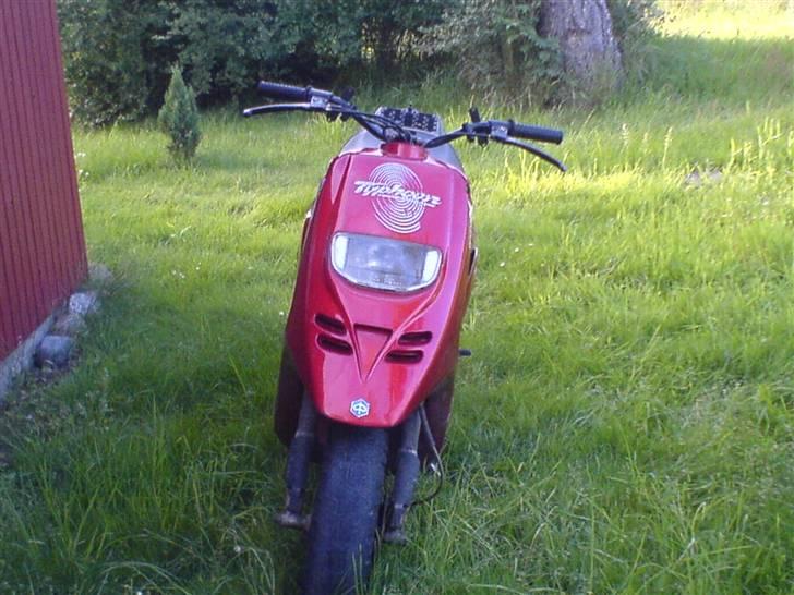 Piaggio 1996-97 Typhoon (byttet) billede 7