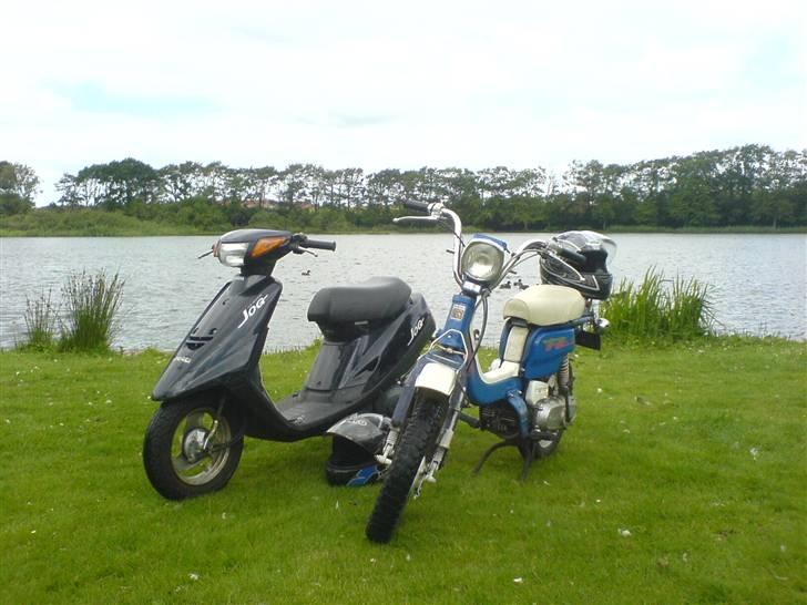 Suzuki FZ50 @ Mie Solgt - Mie og "Nina" som joggen hedder nu om dage ;) billede 8