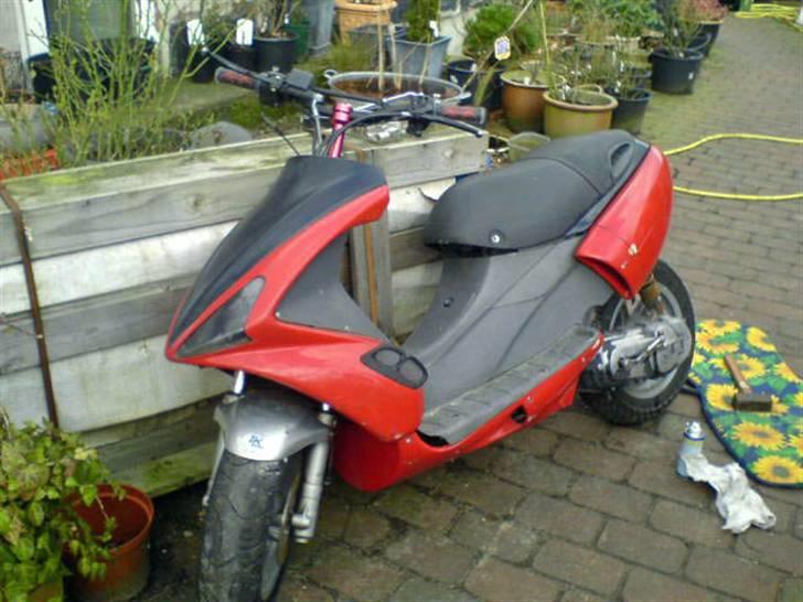 Benelli 491 Solgt billede 14