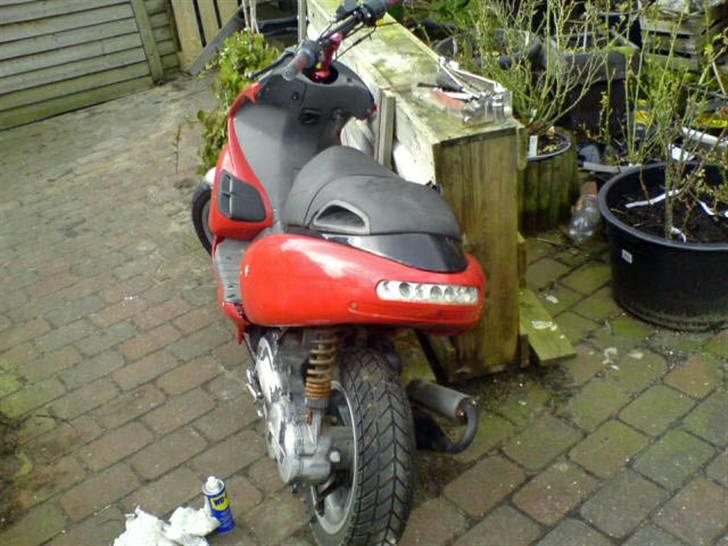 Benelli 491 Solgt billede 15