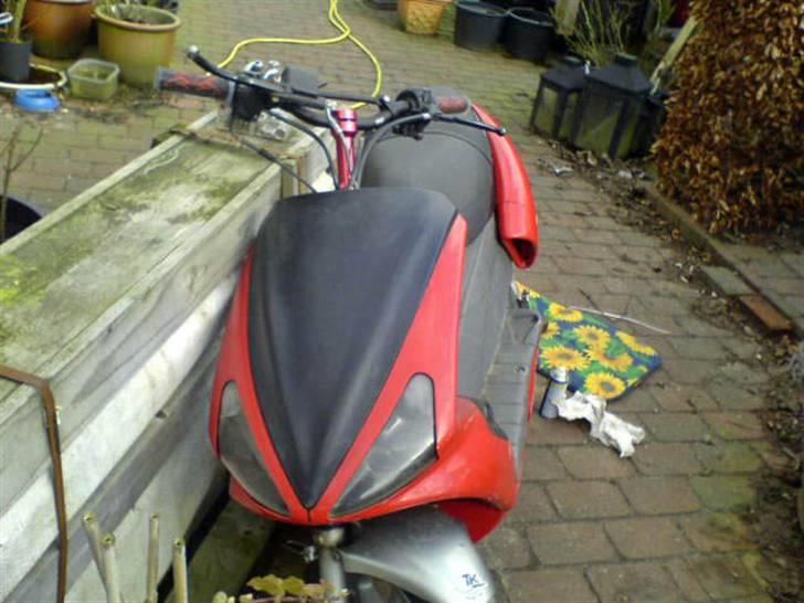 Benelli 491 Solgt billede 16