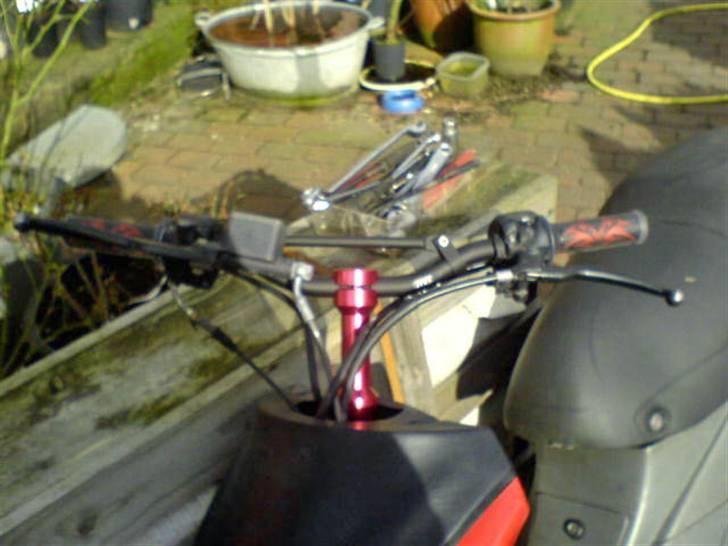 Benelli 491 Solgt billede 17