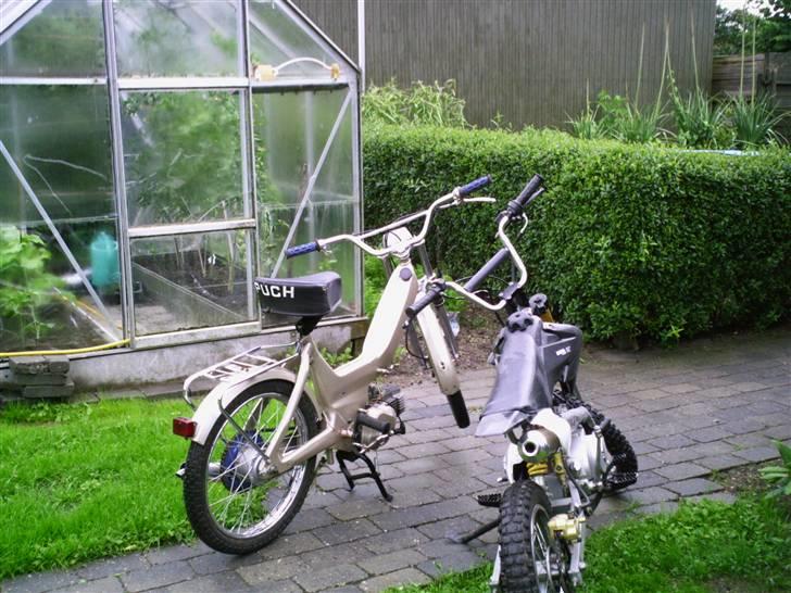 Puch maxi solgt billede 4