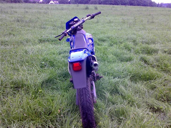 Suzuki smx  billede 8