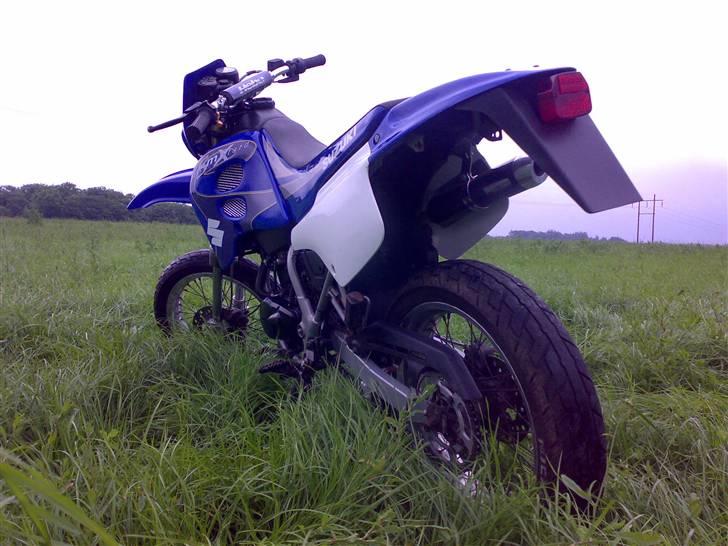Suzuki smx  billede 9