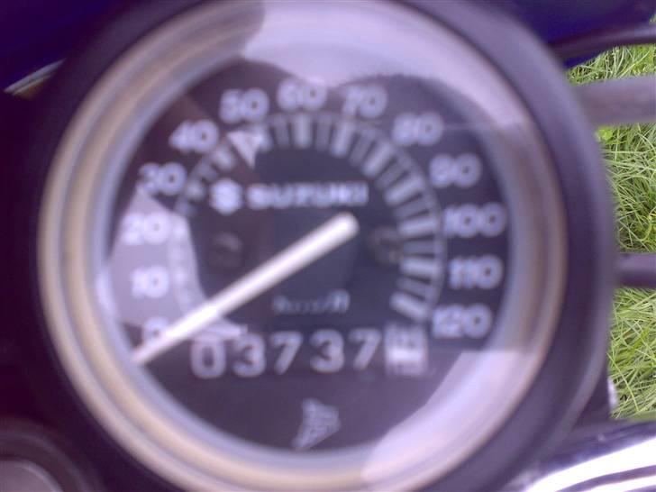 Suzuki smx  billede 11