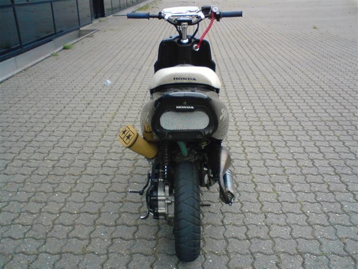 Honda SFX LC billede 8