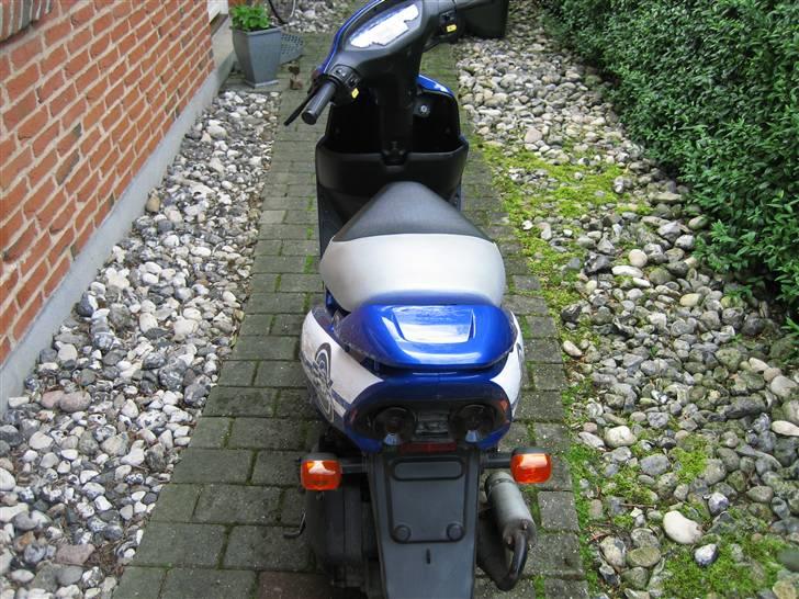 Honda sfx billede 3