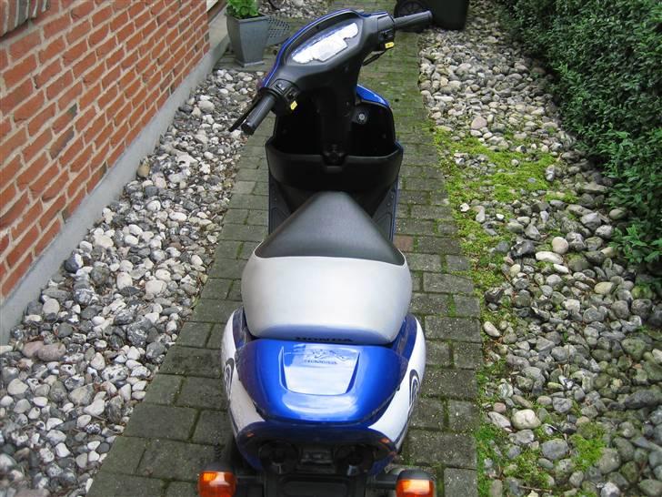 Honda sfx billede 6