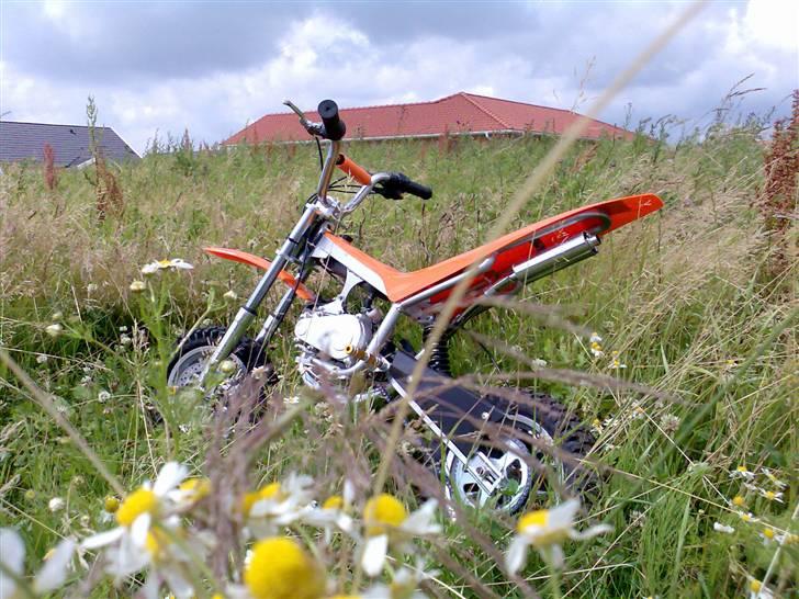 MiniBike trail bike 49ccm. - efter første prøvetur.. billede 1