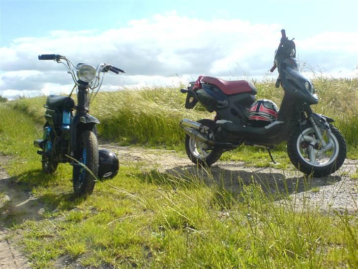 PGO PMX Sport "tilsalg" billede 8