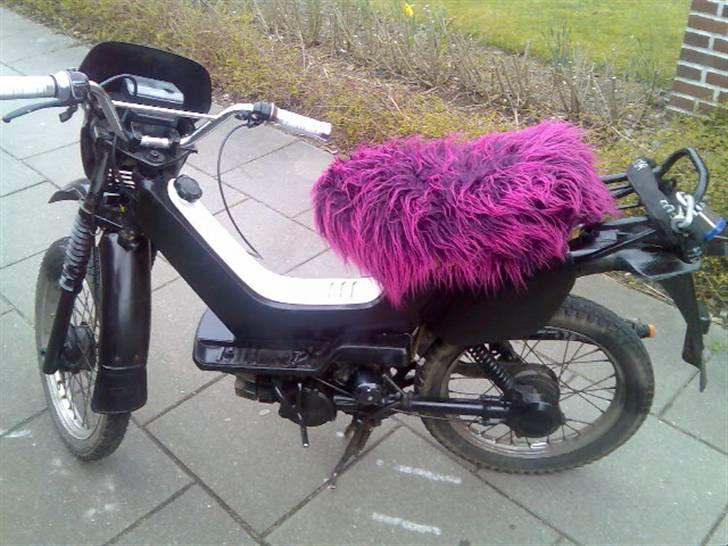 Yamaha Sting SG50-byttet væk billede 1