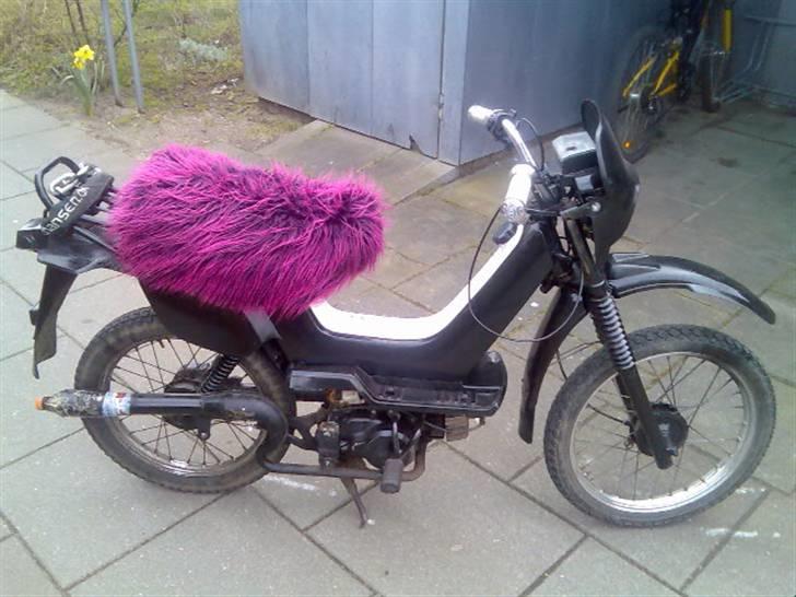 Yamaha Sting SG50-byttet væk billede 3