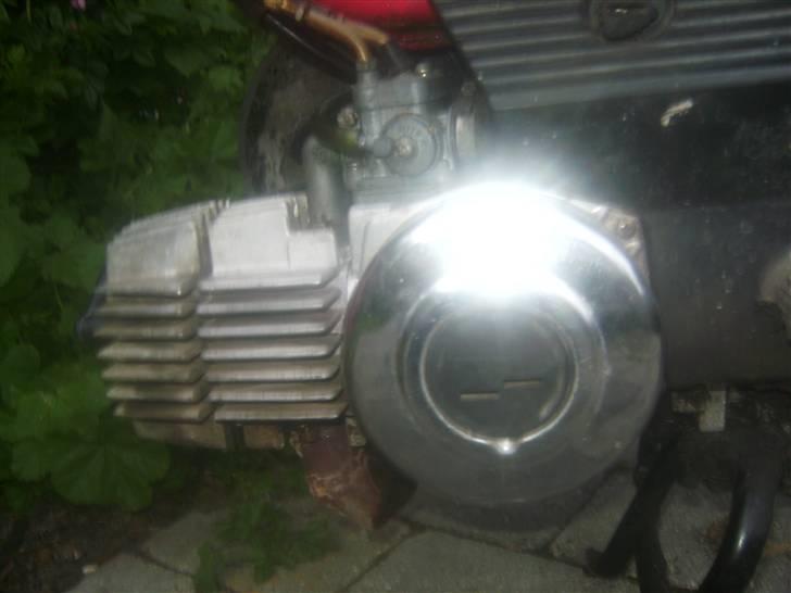 Puch Maxi k (bantiten) billede 3