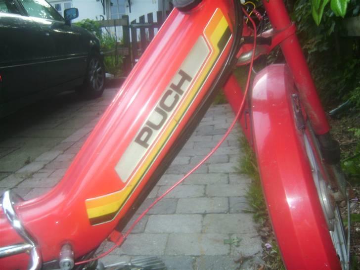 Puch Maxi k (bantiten) billede 4