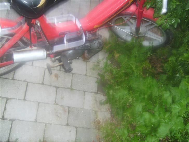 Puch Maxi k (bantiten) billede 5