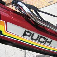 Puch Maxi KL