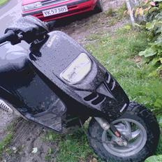 Piaggio typhoon Projekt SOLGT