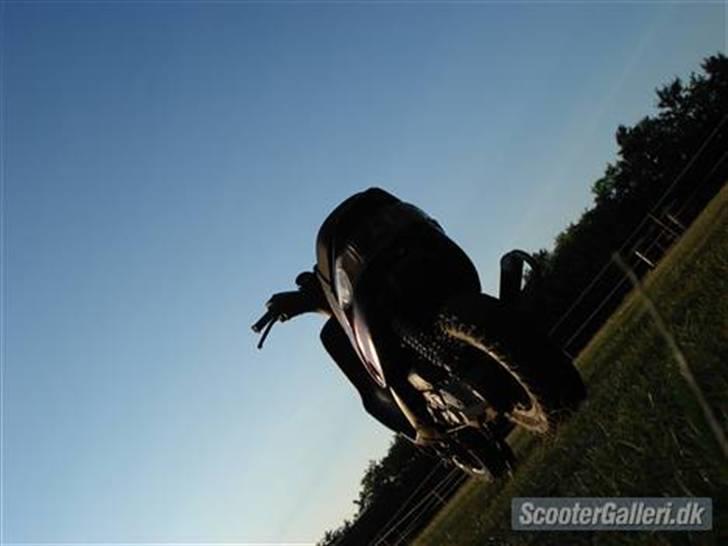 Gilera Stalker(MHR) Solgt billede 6