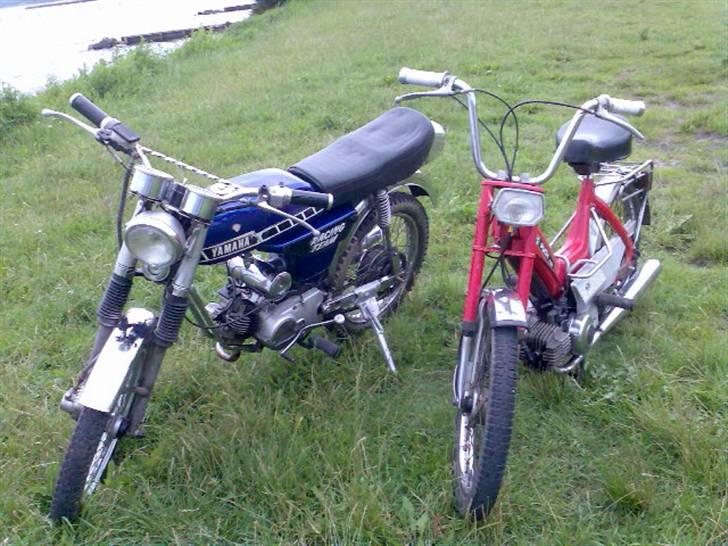 Puch  maxi k *solgt* billede 3