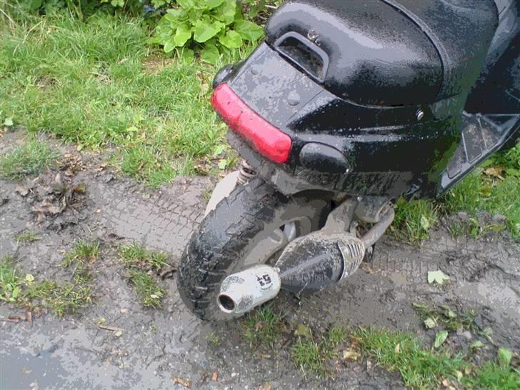 Piaggio typhoon Projekt SOLGT billede 4