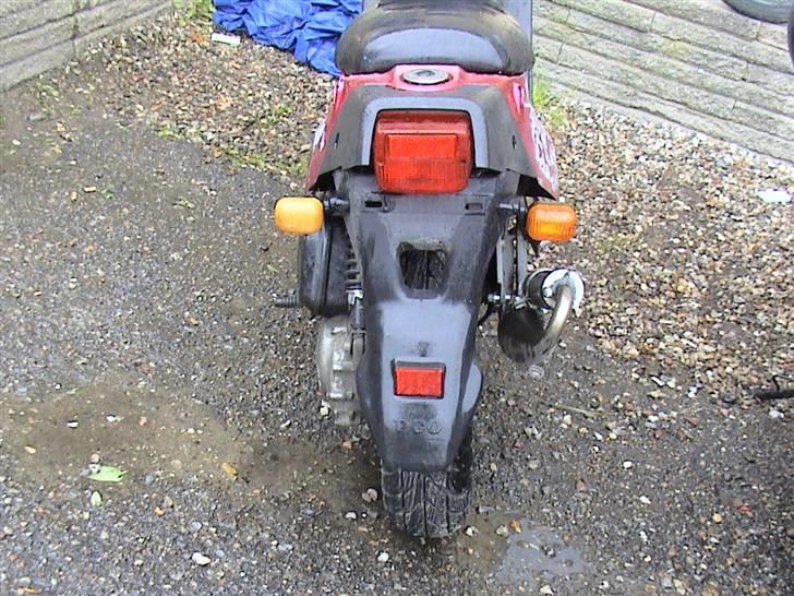 PGO hot 50 byttet til street  - bagfra  billede 7