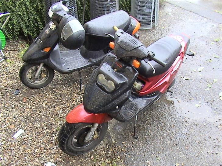 PGO hot 50 byttet til street  - den er så min hot og min makkers comet de køre ikke hurtigt de flyver lavt billede 8