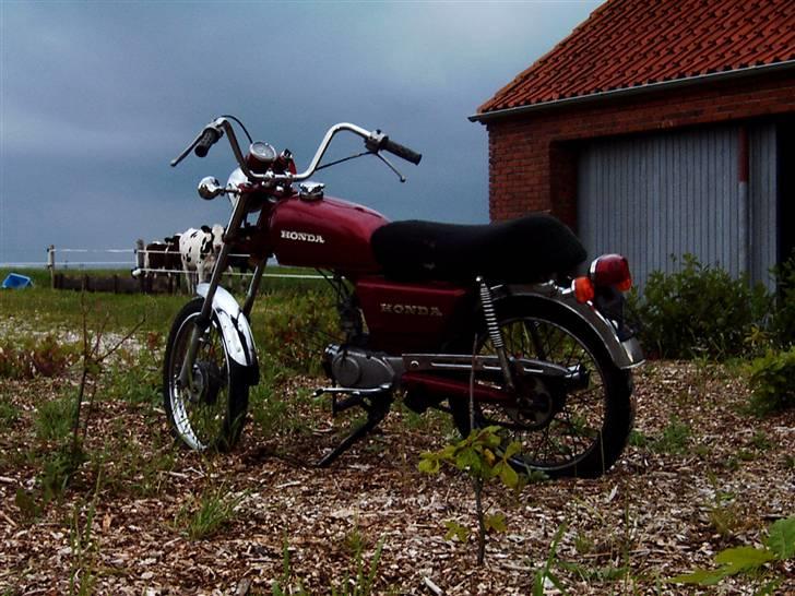 Honda CD50 billede 3