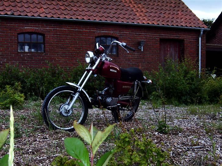 Honda CD50 billede 6