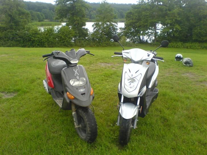 Gilera stalker solgt billede 13