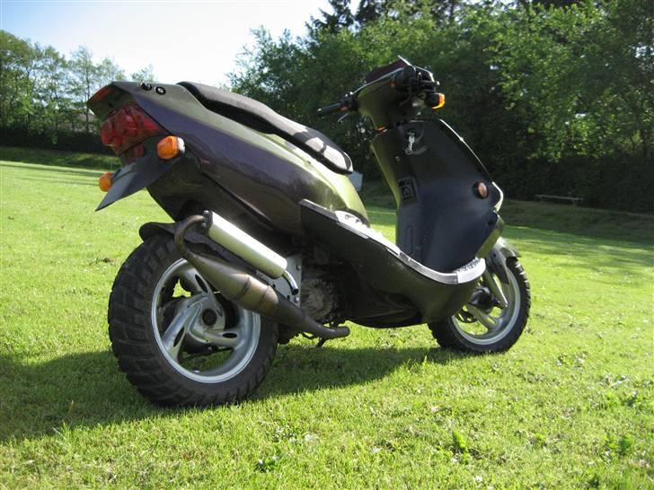 PGO DR. BIG billede 11