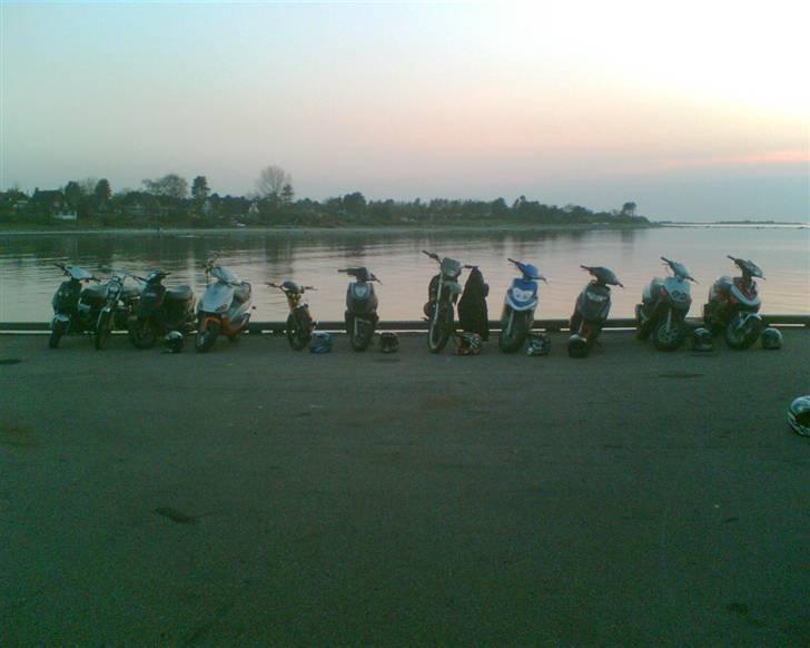 Puch maxik (i2007)solgt for 4k billede 5