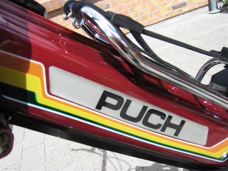 Puch Maxi KL billede 1