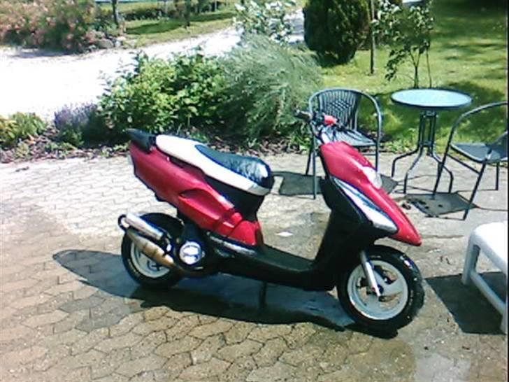 Honda sfx  solgt !  - ny vasket og med grisetryne :P billede 7