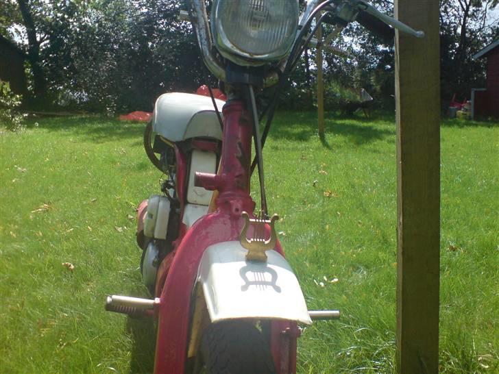 Suzuki fz50 - perle solgt billede 10